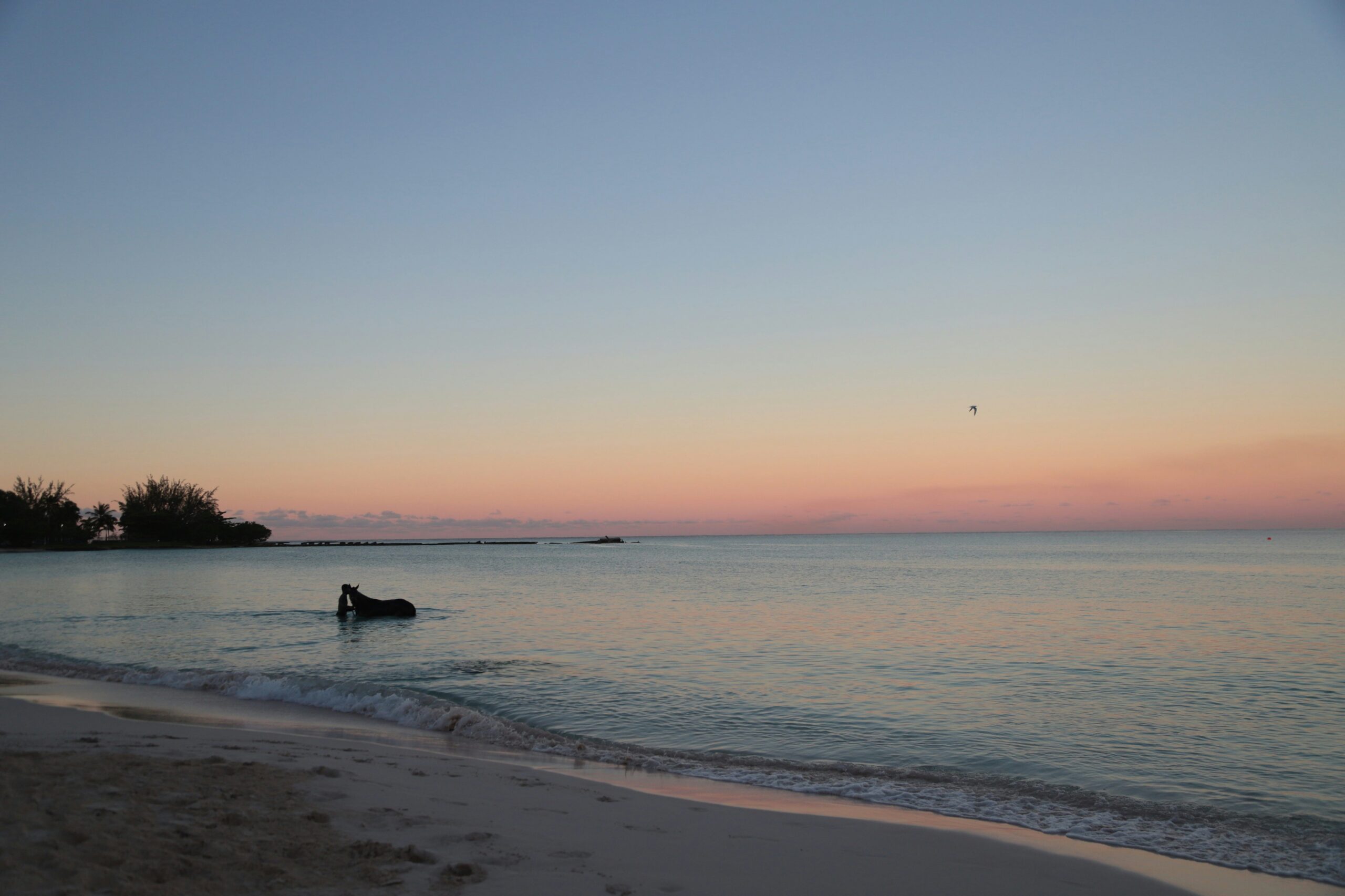 st lucia to barbados